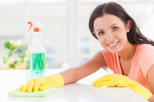 Deep cleaning service for Camberwell home kitchen surfaces and cupboards
