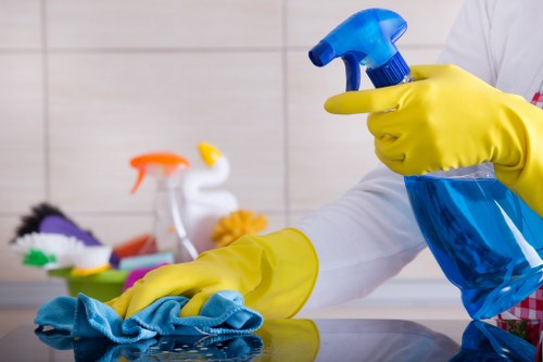 Professional cleaner in a Camberwell residential property