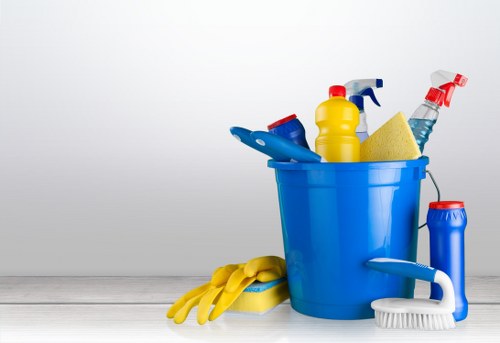 Deep cleaning a built-in oven and removing grease and grime