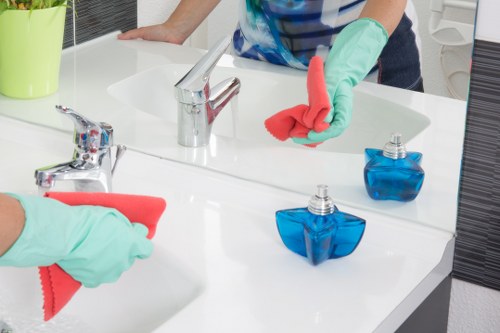 Regular house cleaning for a Camberwell apartment or family home