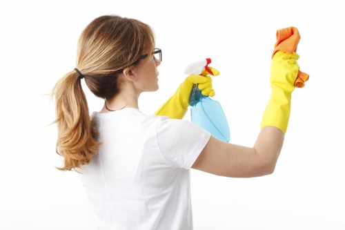 Deep cleaning carpets in a Camberwell flat living room