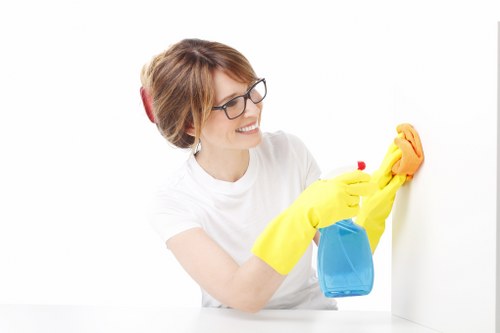 Image 5 highlighting accessibility requests for oven cleaning services